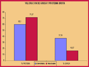 Gráfico 4